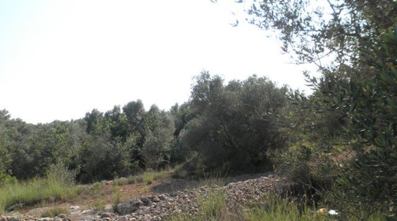 Tarragona - Tortosa - 13750m2