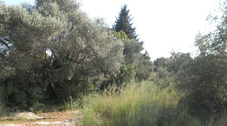 Tarragona - Tortosa - 13750m2