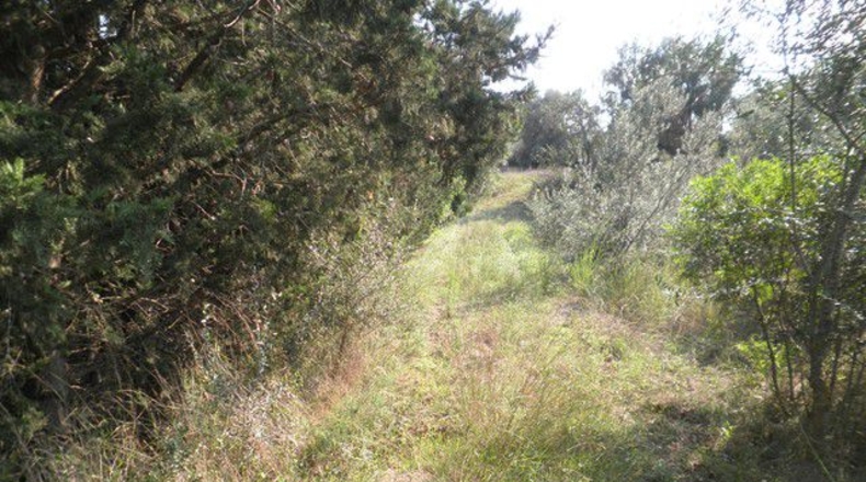 Tarragona - Tortosa - 13750m2