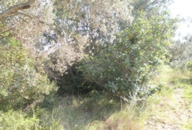 Foto 9