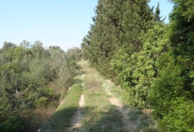 Foto 14