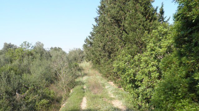 Tarragona - Tortosa - 13750m2