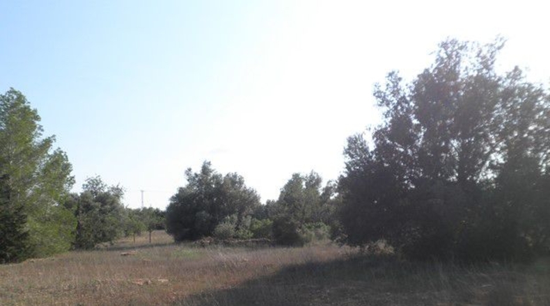 Tarragona - Tortosa - 13750m2