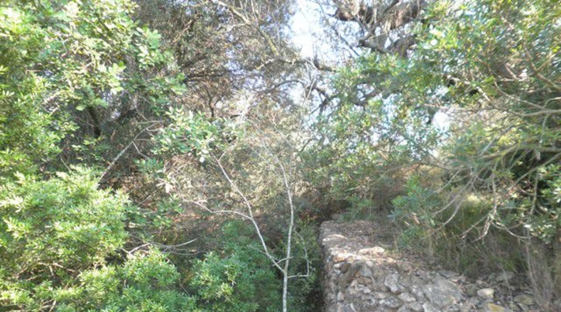Tarragona - Tortosa - 13750m2