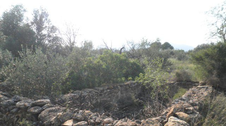 Tarragona - Tortosa - 13750m2