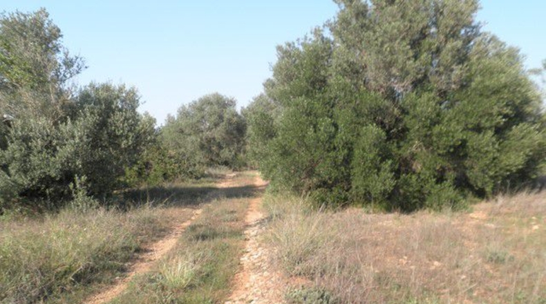 Tarragona - Tortosa - 13750m2