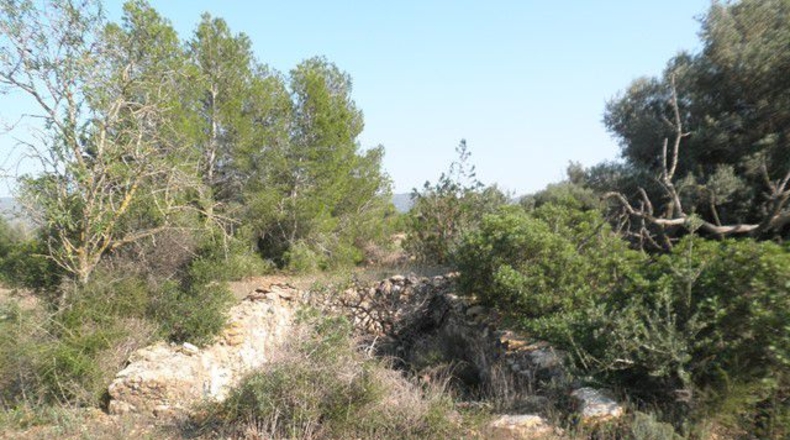 Tarragona - Tortosa - 13750m2