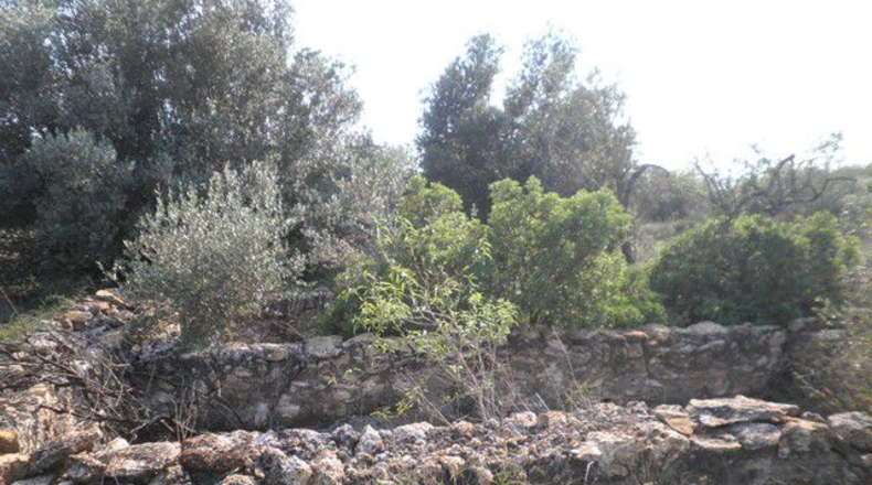 Tarragona - Tortosa - 13750m2