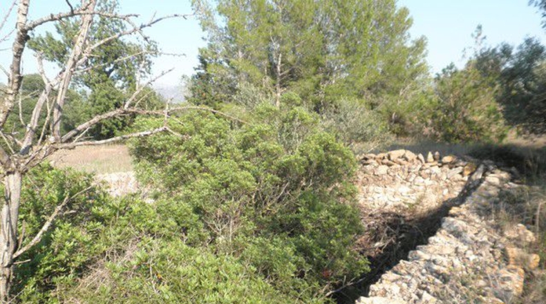 Tarragona - Tortosa - 13750m2