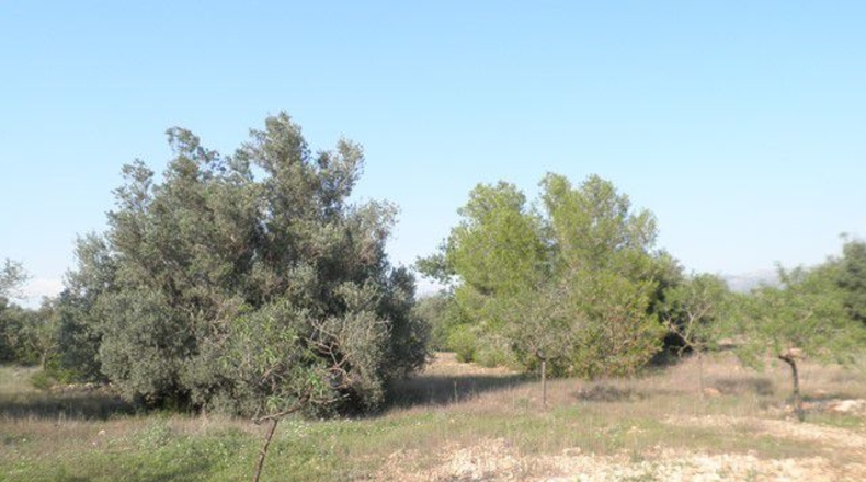 Tarragona - Tortosa - 13750m2