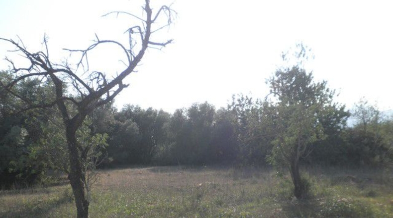 Tarragona - Tortosa - 13750m2