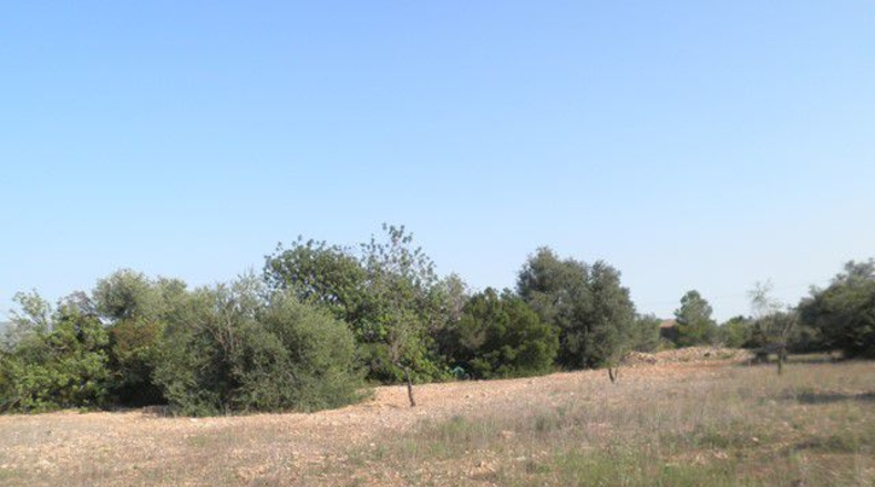 Tarragona - Tortosa - 13750m2
