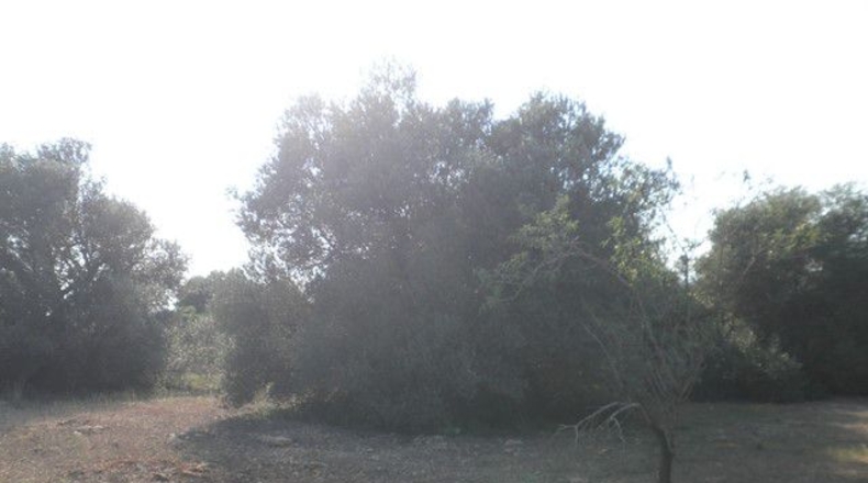 Tarragona - Tortosa - 13750m2