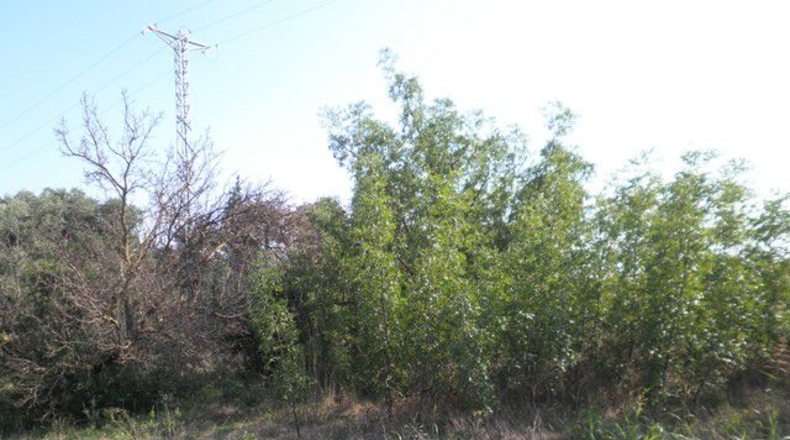 Tarragona - Tortosa - 13750m2