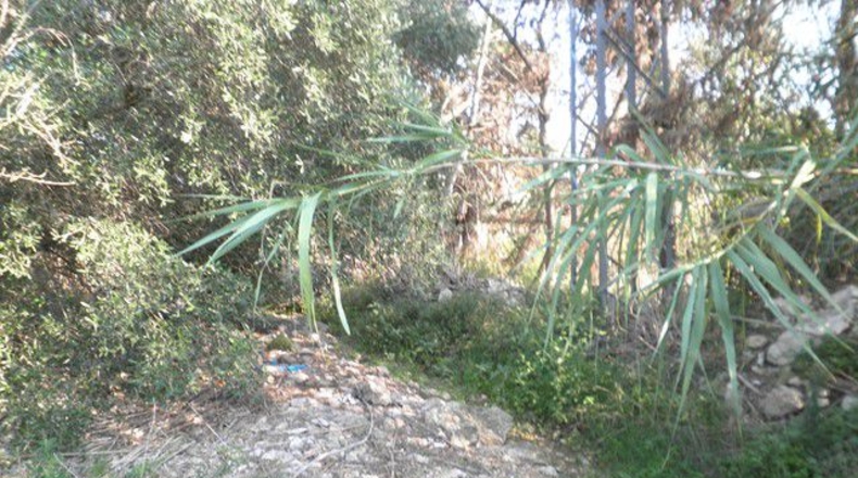 Tarragona - Tortosa - 13750m2
