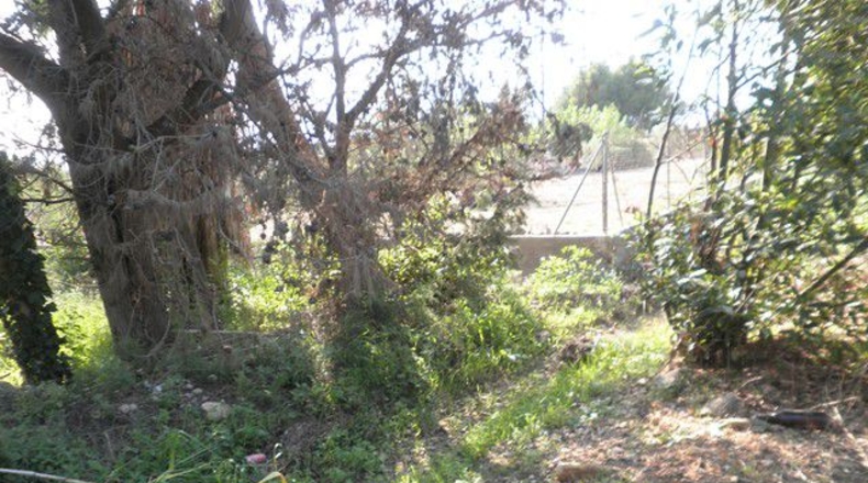 Tarragona - Tortosa - 13750m2