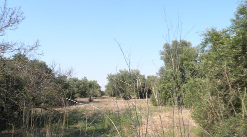 Tarragona - Tortosa - 13750m2