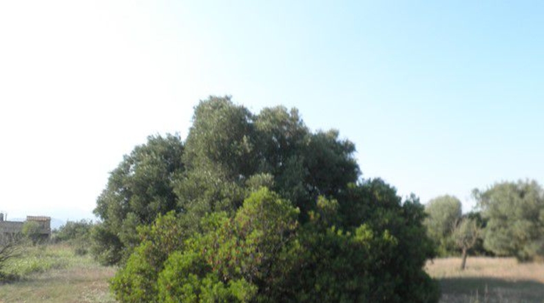 Tarragona - Tortosa - 13750m2