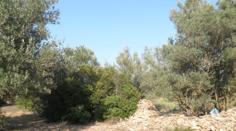 Tarragona - Tortosa - 13750m2