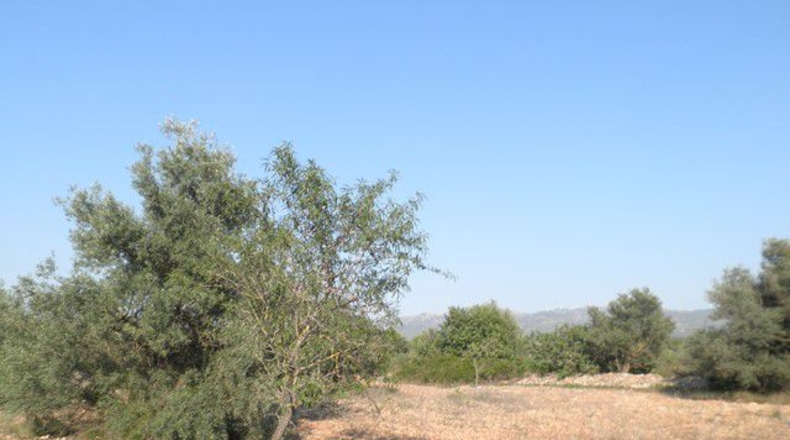 Tarragona - Tortosa - 13750m2