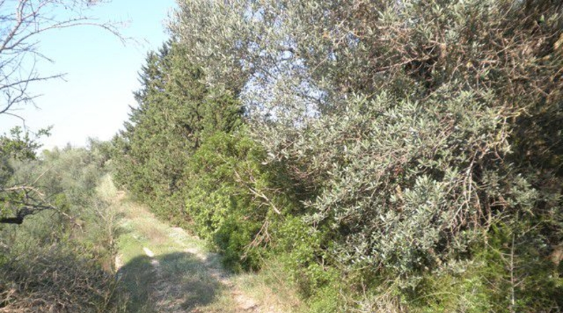 Tarragona - Tortosa - 13750m2