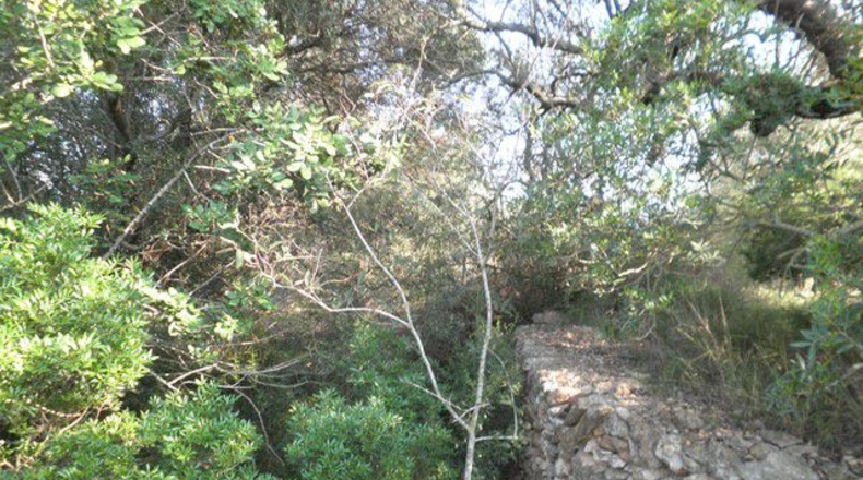 Tarragona - Tortosa - 13750m2