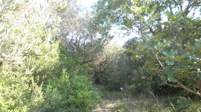 Tarragona - Tortosa - 13750m2