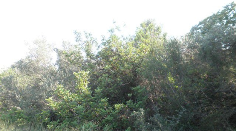 Tarragona - Tortosa - 13750m2