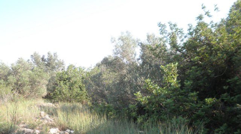 Tarragona - Tortosa - 13750m2