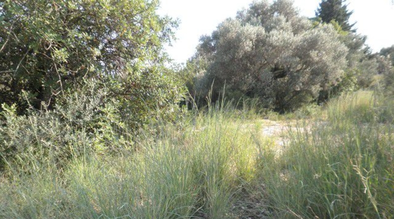 Tarragona - Tortosa - 13750m2