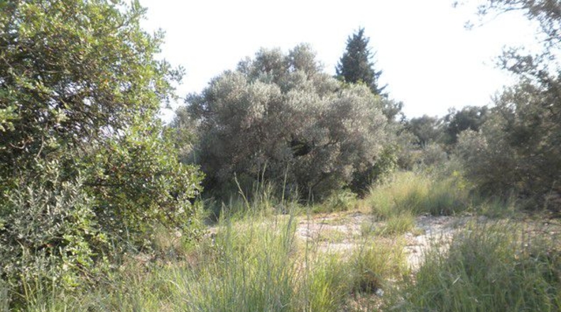 Tarragona - Tortosa - 13750m2