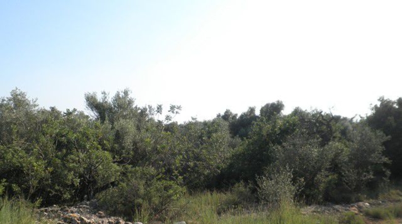 Tarragona - Tortosa - 13750m2