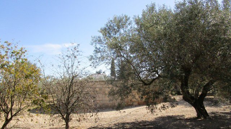 Tarragona - Raval de Crist - 31m2