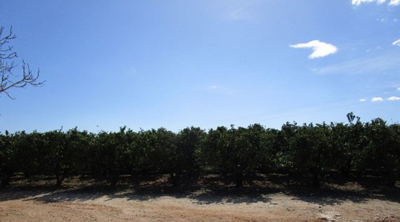 Tarragona - Raval de Crist - 31m2