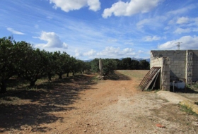 Foto 13