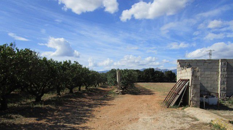 Tarragona - Raval de Crist - 31m2