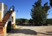 Finca rústica en venda a Roquetes ref.: TR15843 foto