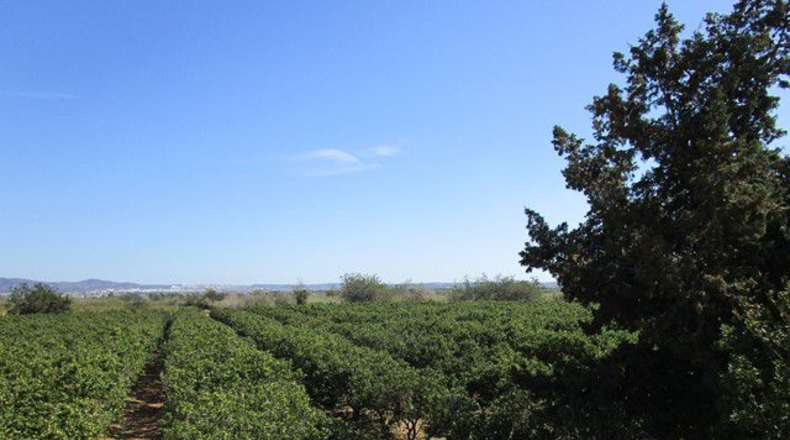 Tarragona - Raval de Crist - 31m2