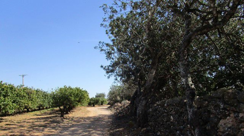Tarragona - Raval de Crist - 31m2
