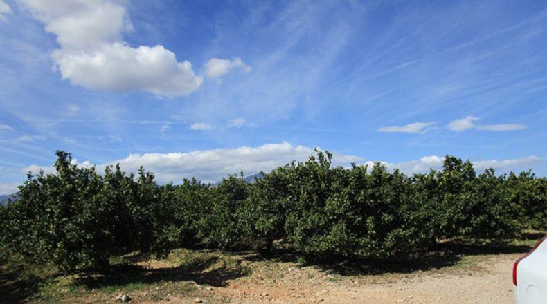 Tarragona - Raval de Crist - 31m2