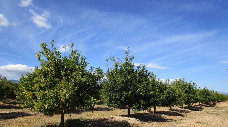 Tarragona - Raval de Crist - 31m2
