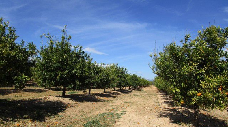 Tarragona - Raval de Crist - 31m2
