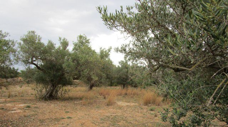 Tarragona - Raval de Crist - 13863m2