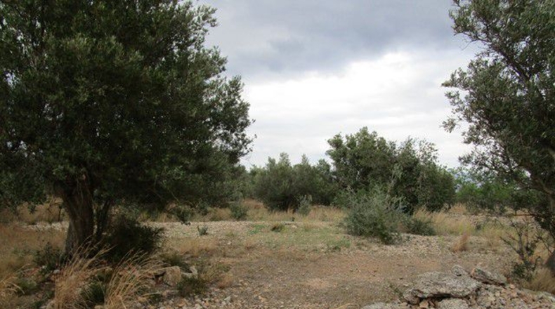 Tarragona - Raval de Crist - 13863m2