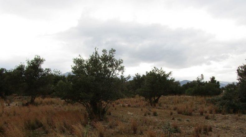 Tarragona - Raval de Crist - 13863m2