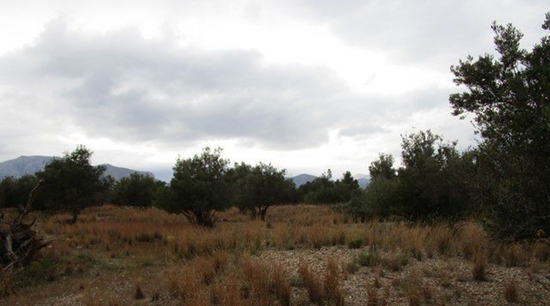Tarragona - Raval de Crist - 13863m2