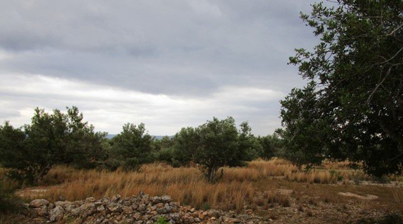 Tarragona - Raval de Crist - 13863m2