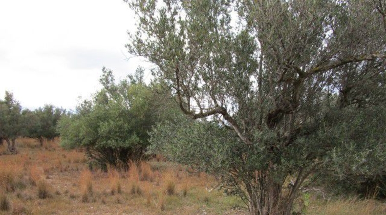 Tarragona - Raval de Crist - 13863m2