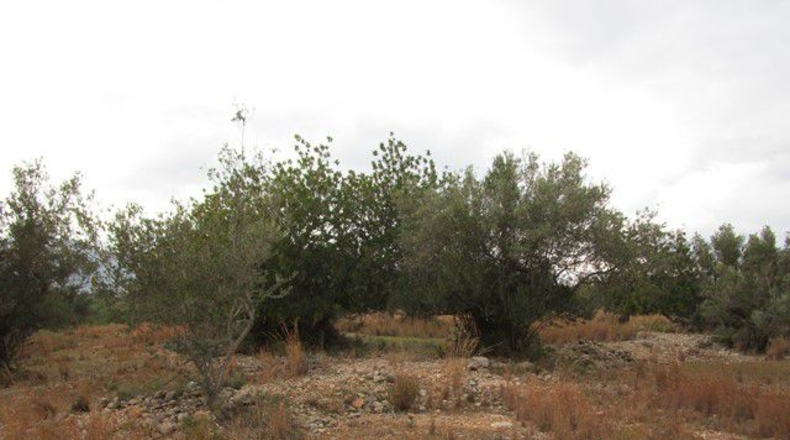 Tarragona - Raval de Crist - 13863m2