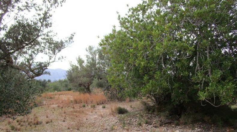 Tarragona - Raval de Crist - 13863m2